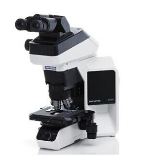 奥林巴斯BX46研究级生物显微镜